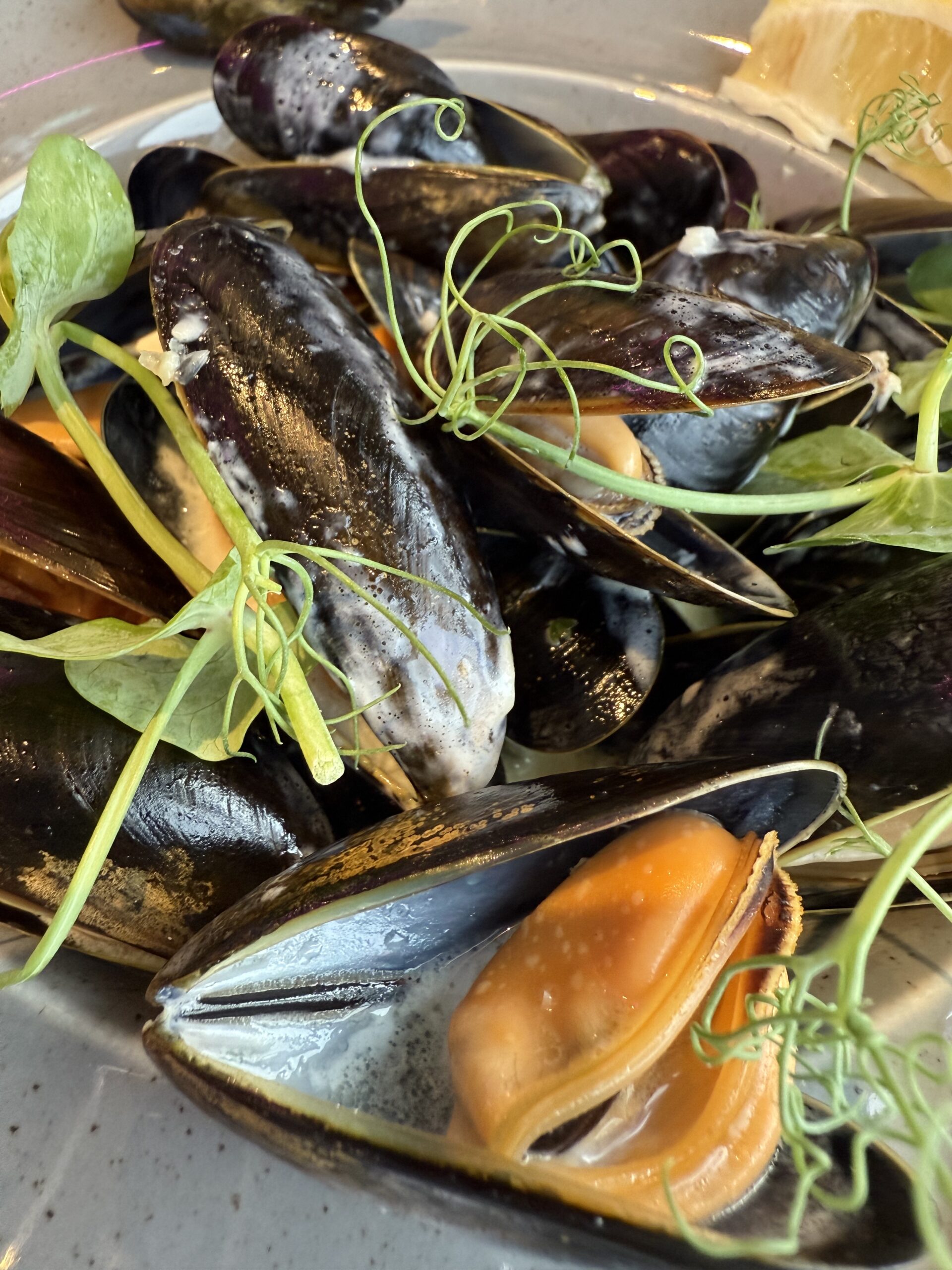 Södra England – Brixham & Torquay