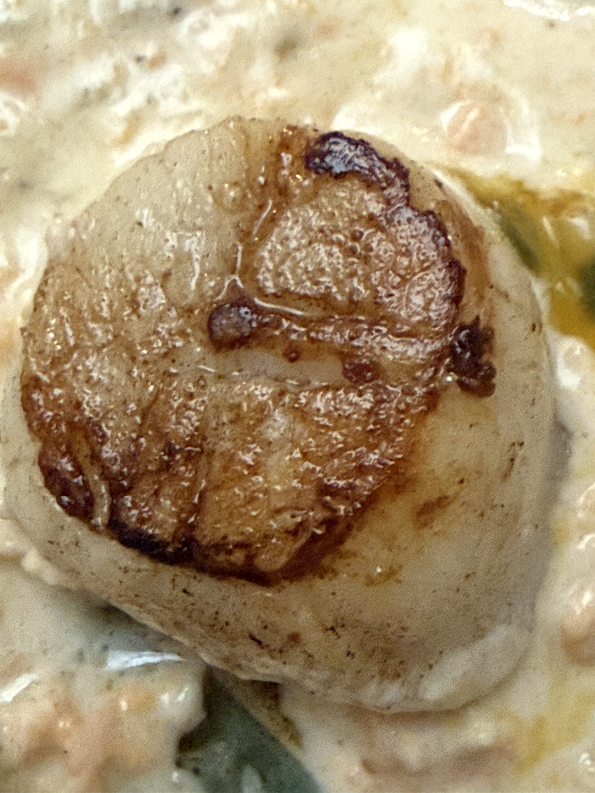 Antibes – Matlagning & Skidskytte