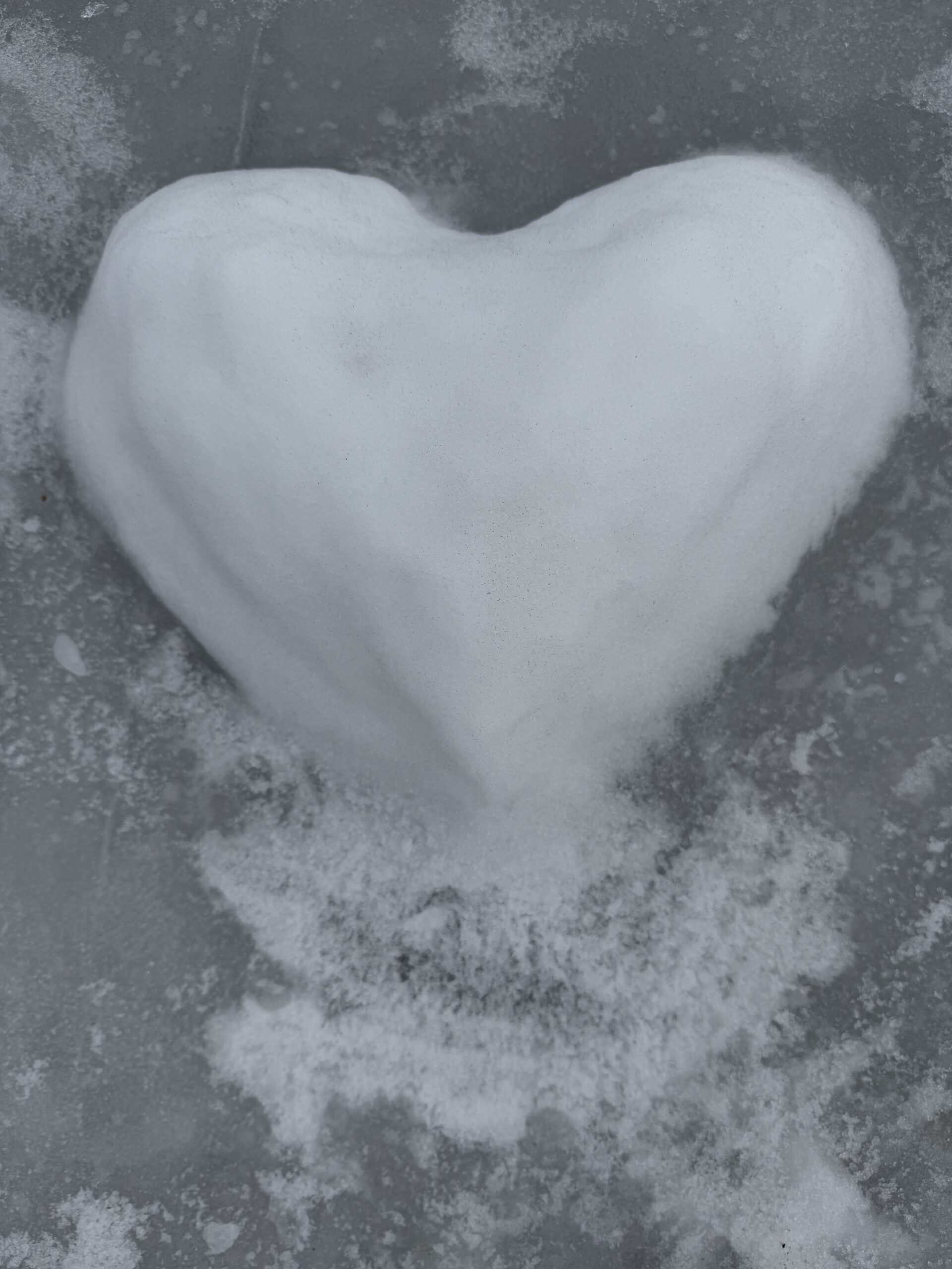 Sävsjövik-Vintermys på isen  i stugan