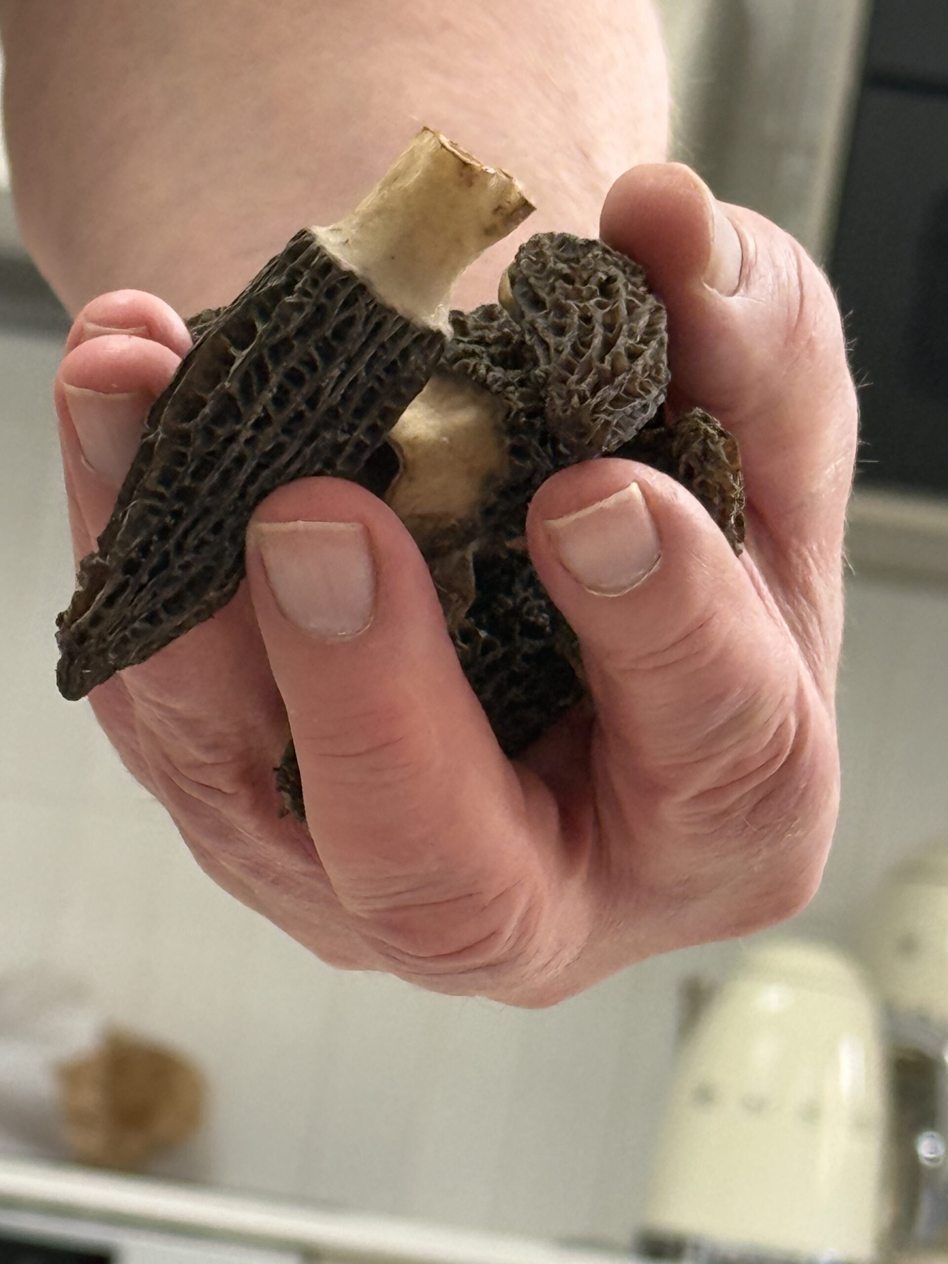 Antibes – Med lite ”catch up” från påsken