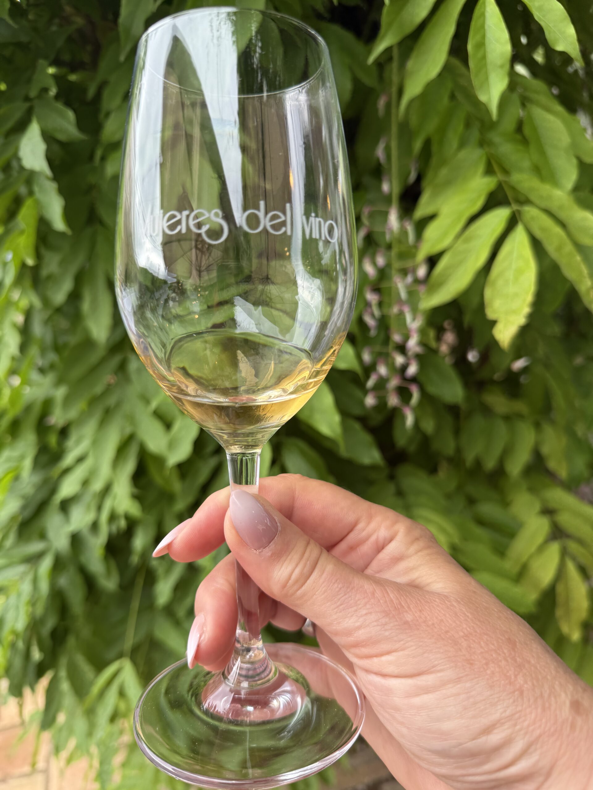 Priorat – Kan det bli för mycket vinfestival??